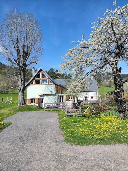 La Maison Dans Les Pres Labaroche